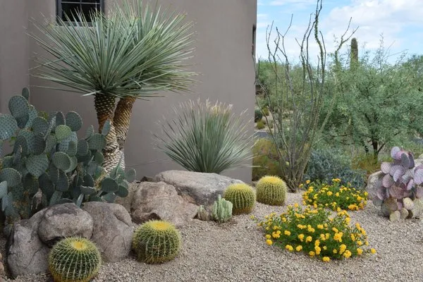 Iddings & Sons Landscaping Logo