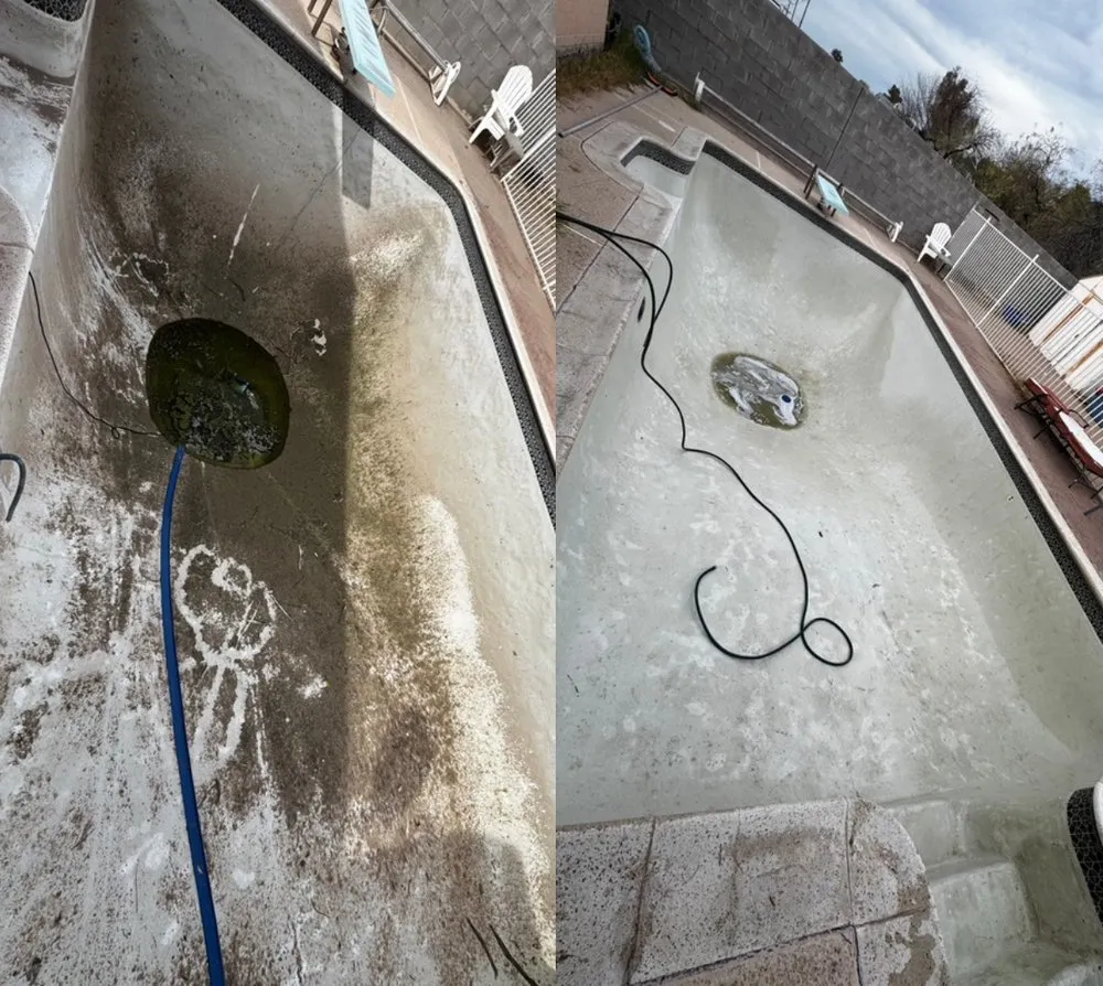 Trusted yard cleanup service in Mesa, AZ by Ideal Clean