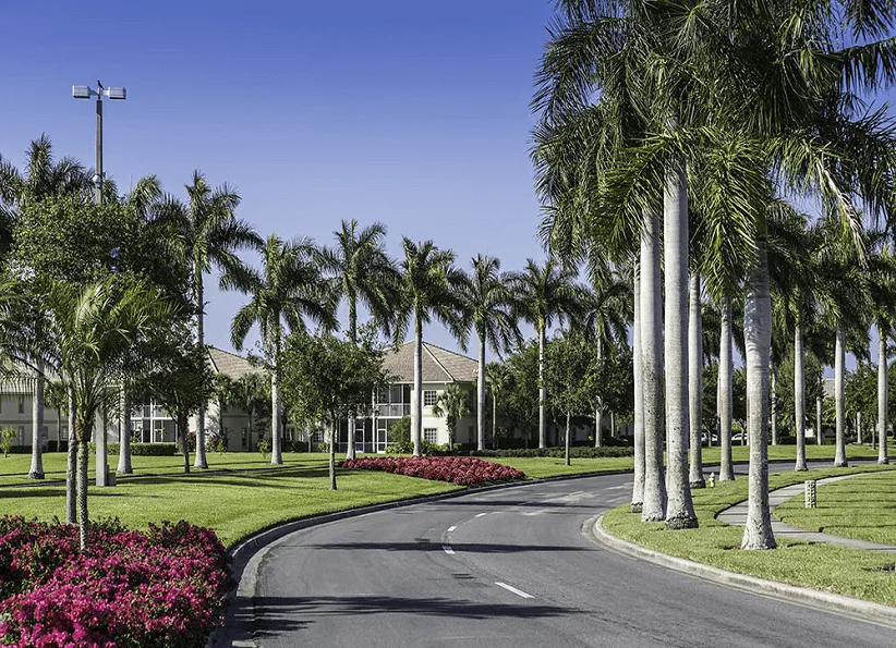 Professional yard maintenance in West Palm Beach, FL by Ideal Environmental Solutions
