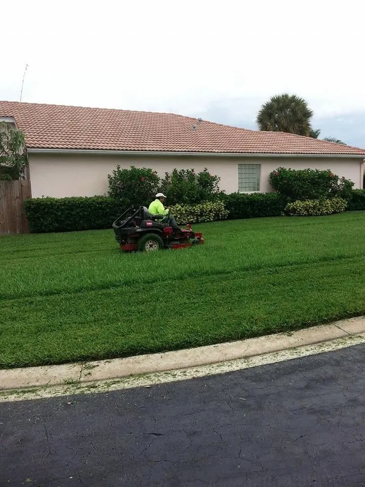 Custom lawn care service in West Palm Beach, FL - Ideal Environmental Solutions