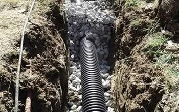 Affordable yard cleanup service in West Palm Beach, FL by Ideal Environmental Solutions