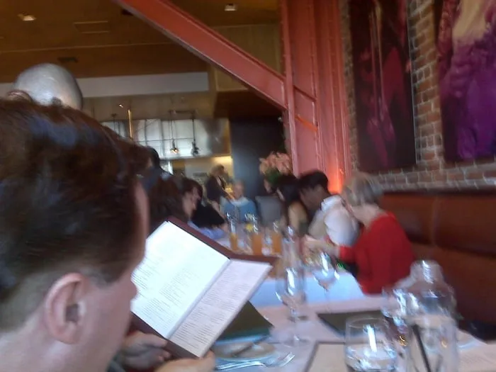 Top-rated lawn care service with custom design across West Palm Beach, FL - Ideal Environmental Solutions