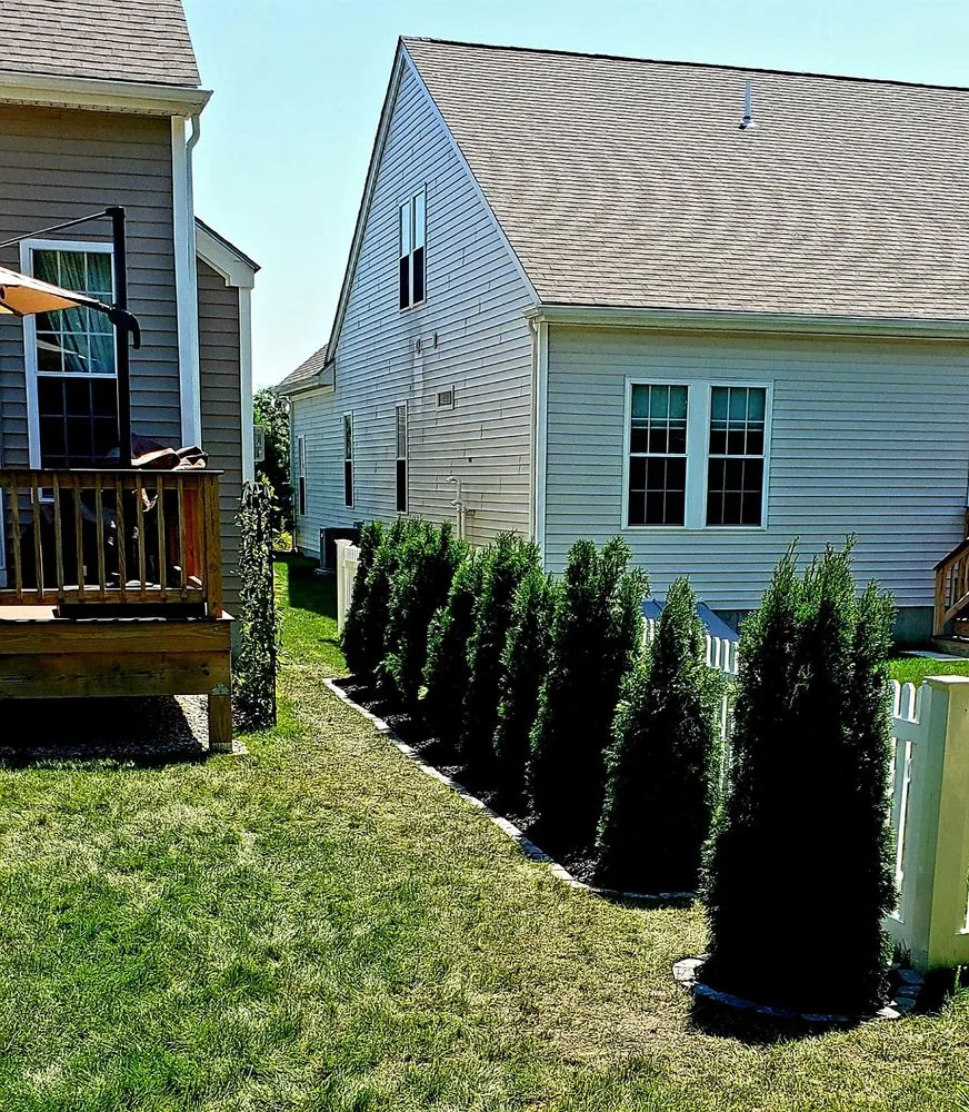 Affordable yard cleanup service experts serving Plymouth, MA - Ideal Irrigation & Nightscape