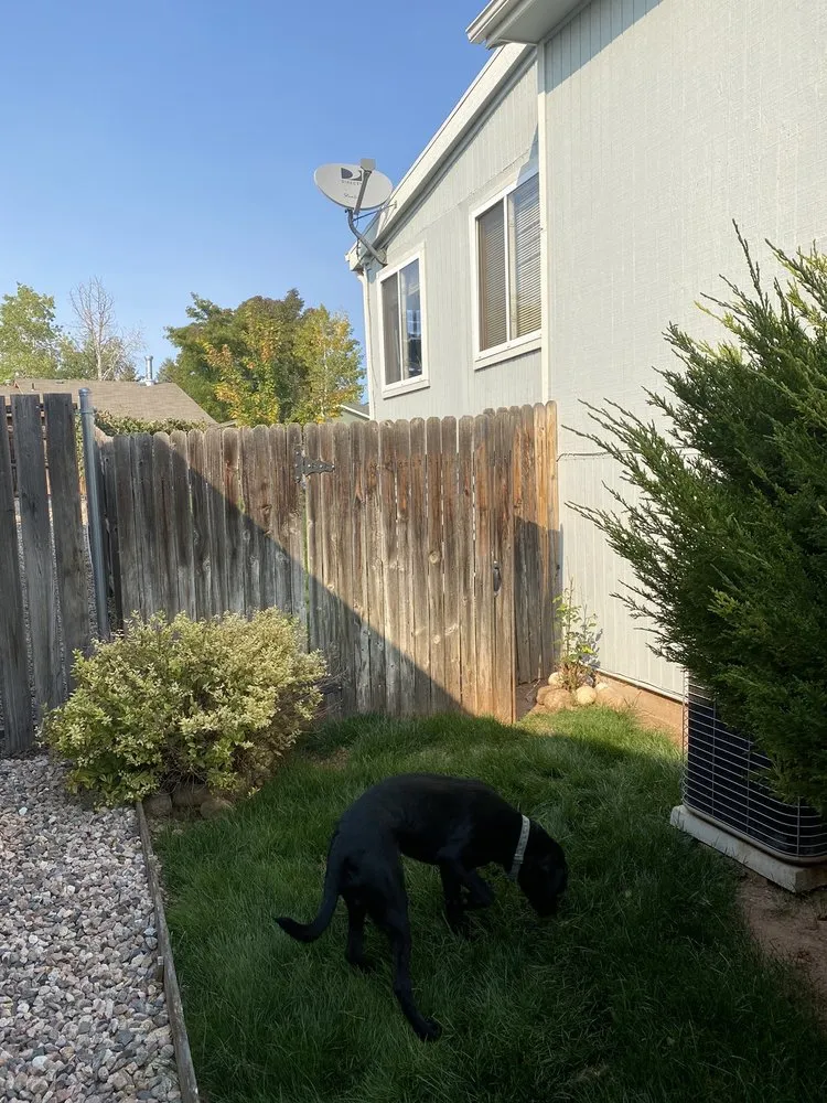 Custom yard maintenance experts serving Windsor, CO - Ideal Irrigation