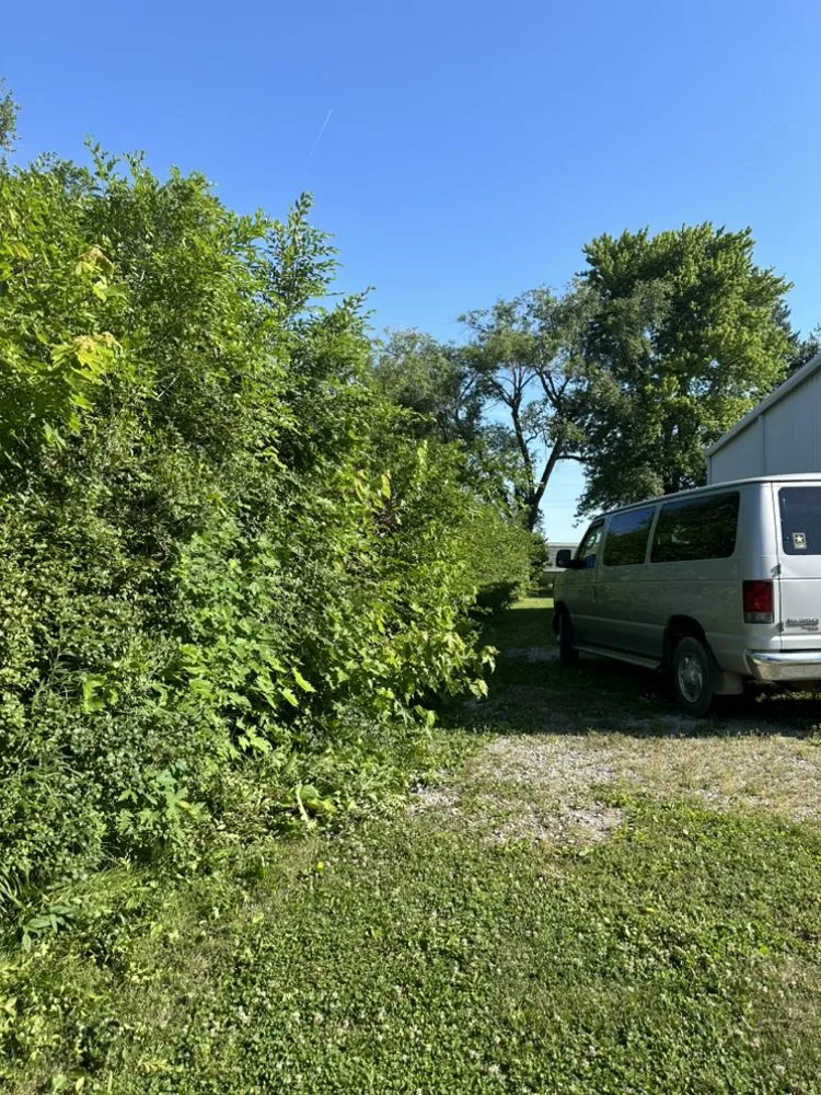 Expert landscaping services for residential properties across Taylorville, IL - Ideal Junk Removal & More