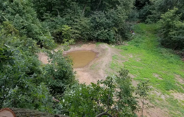 Expert lawn care service experts serving Reedsburg, WI - Ideal Land Management Services