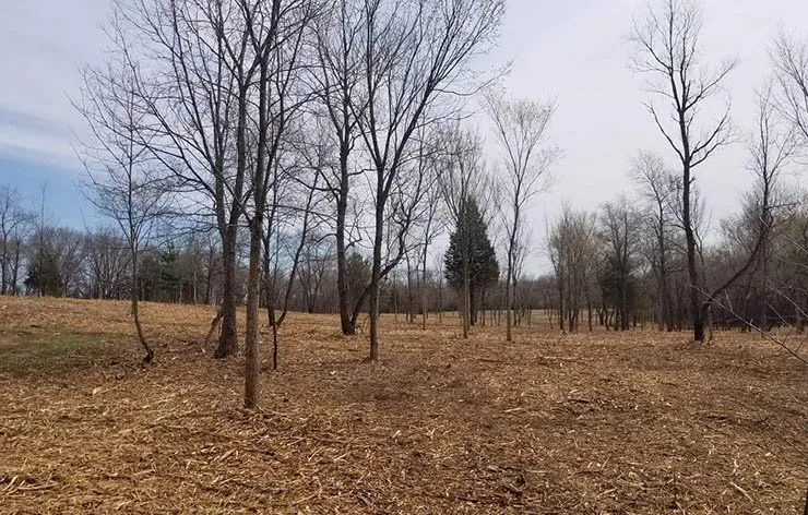 Custom outdoor landscaping in Reedsburg, WI - Ideal Land Management Services