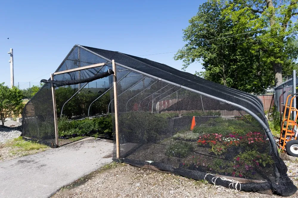 Trusted landscape installation for outdoor upgrades across St. Louis, MO - Ideal Landscape Group