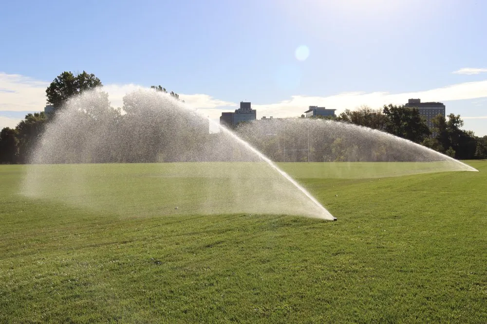 Affordable yard cleanup service for residential properties in St. Louis, MO by Ideal Landscape Group