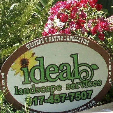 Trusted outdoor landscaping for year-round maintenance across Fort Worth, TX - Ideal Landscape Services