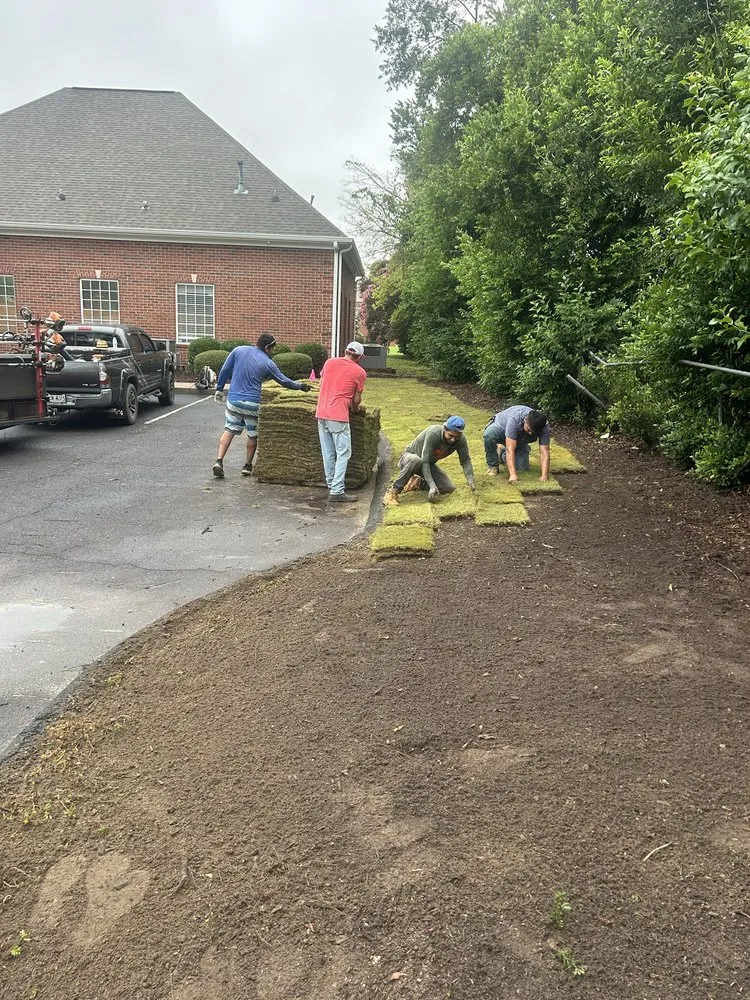 Top-rated landscape design near you across Thomson, GA - Ideal Landscapes CSRA