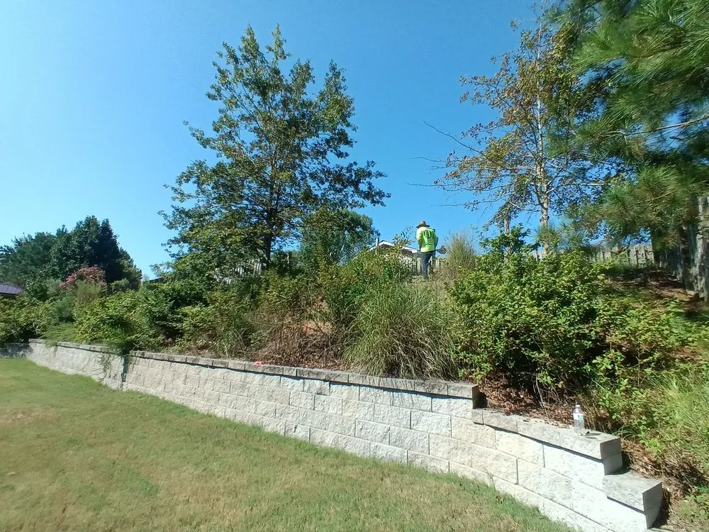 Top-rated landscaping services for beautiful yards in Thomson, GA by Ideal Landscapes CSRA