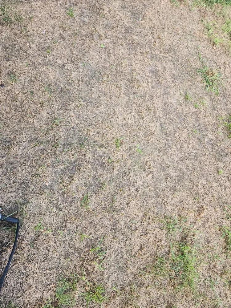 Professional yard cleanup service experts serving Kernersville, NC - Ideal Landscaping & Irrigation