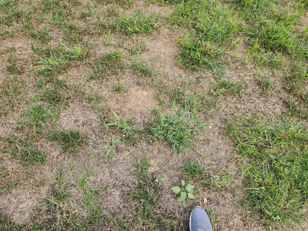 Reliable landscape design in Kernersville, NC by Ideal Landscaping & Irrigation