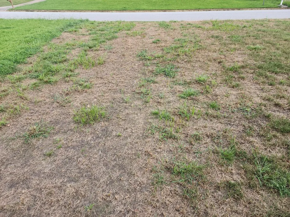 Top-rated residential landscaping for beautiful yards across Kernersville, NC - Ideal Landscaping & Irrigation