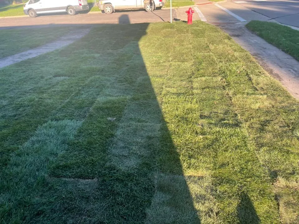 Local yard cleanup service in Saint Paul, MN - Ideal Landscaping