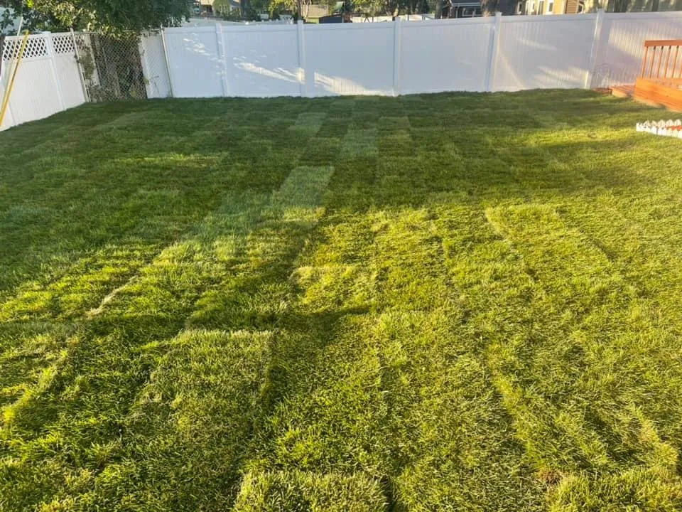 Expert yard cleanup service for outdoor upgrades in Saint Paul, MN by Ideal Landscaping