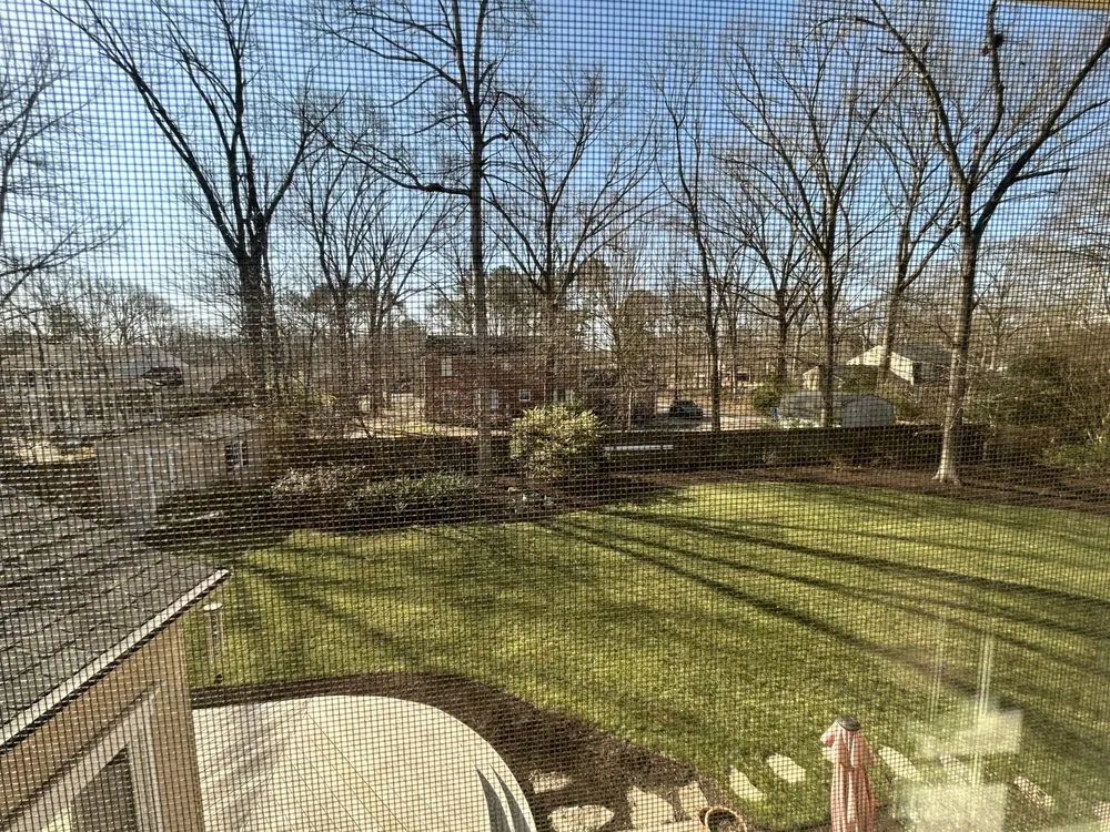 Top-rated yard maintenance in Chester, VA - Ideal Lawn Care