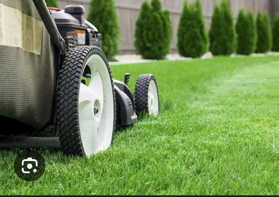 Local yard maintenance in Chester, VA by Ideal Lawn Care