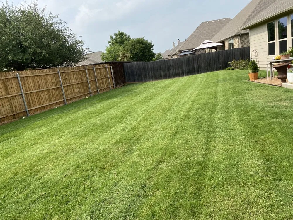 Expert landscape design in Fort Worth, TX by Ideal Lawn Care