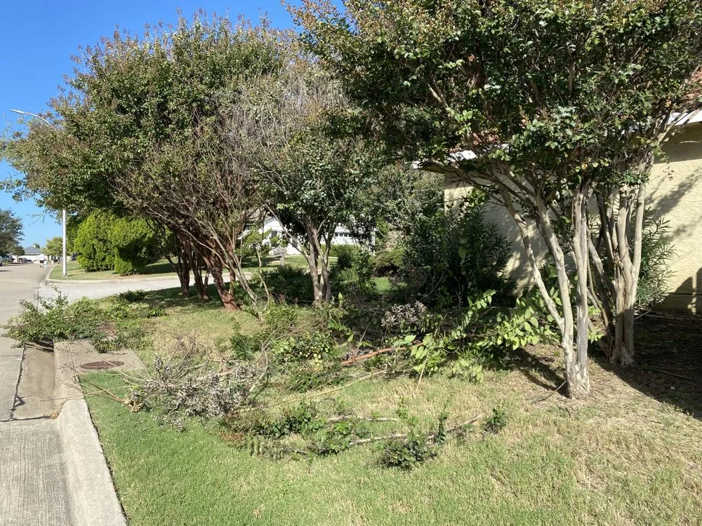 Custom yard maintenance in Fort Worth, TX by Ideal Lawn Care