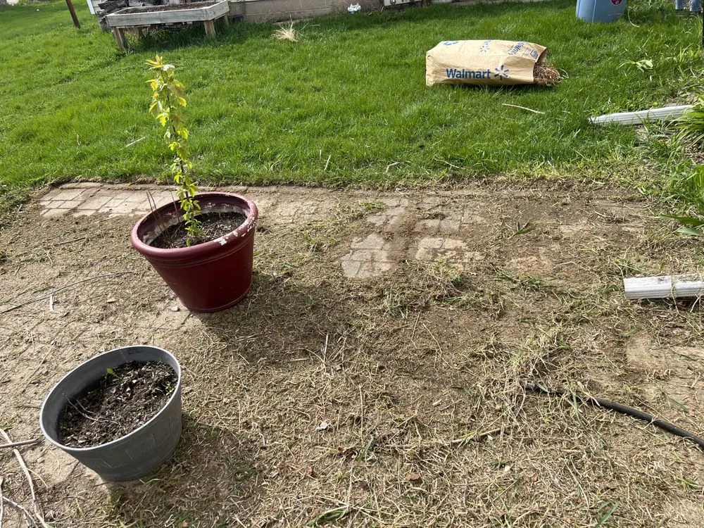 Local landscape installation in Freedom, WI - Ideal Lawn Care