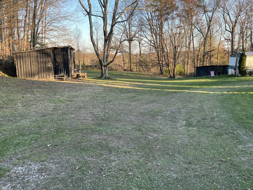 Trusted yard cleanup service for beautiful yards across London, KY - Ideal Lawn Care