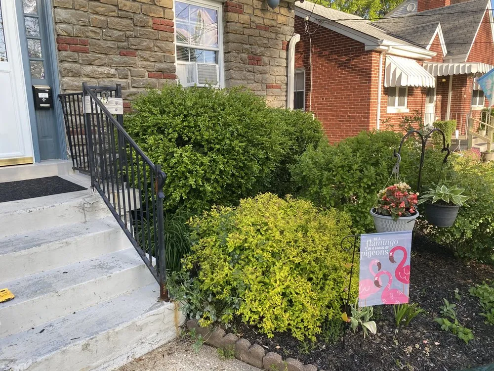 Local lawn care service in Okeana, OH - Ideal Lawns