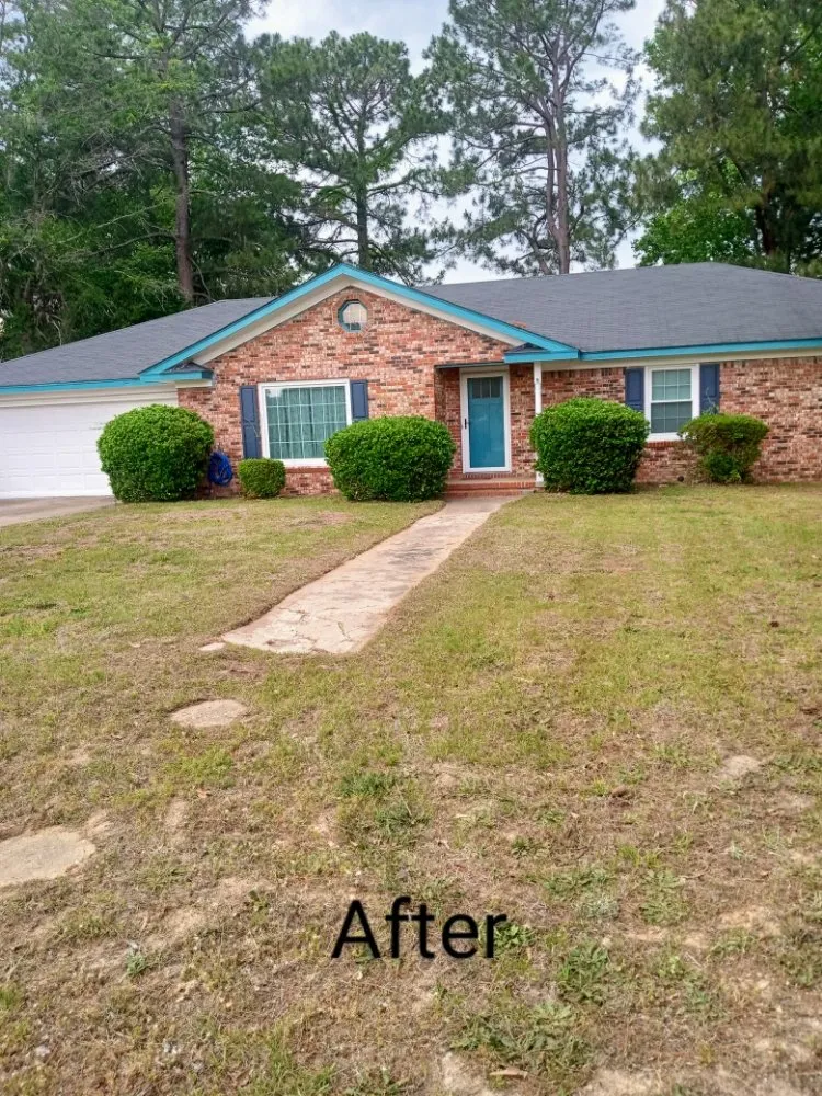 Trusted yard cleanup service in Gaston, SC - Ideal Pressure Washing & Services