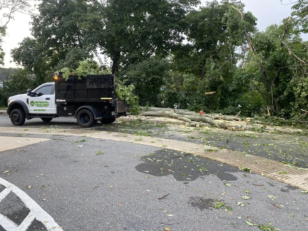 Trusted landscape design experts serving Haverhill, MA - Ideal Property Care