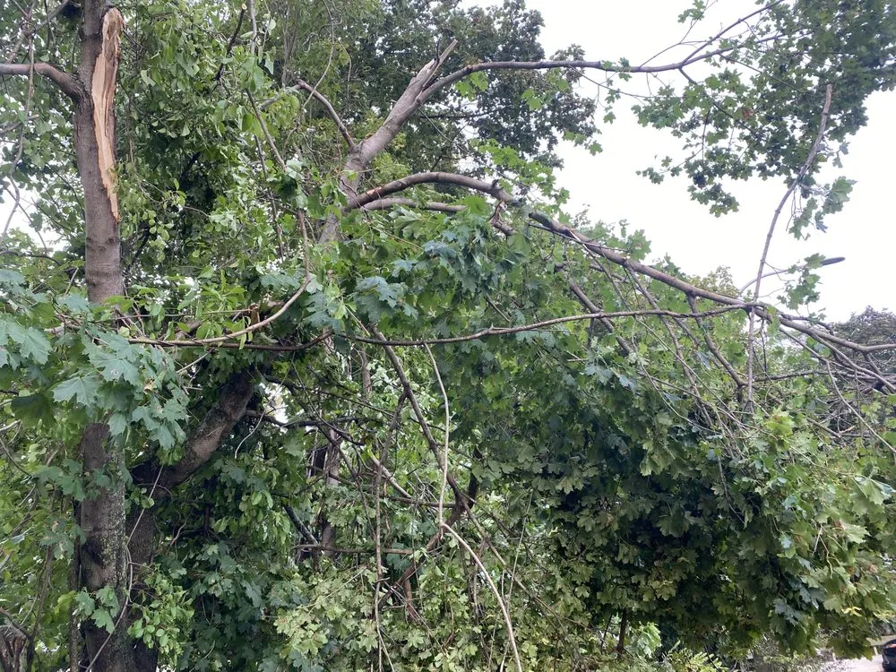 Expert landscaping services for homes across Haverhill, MA - Ideal Property Care