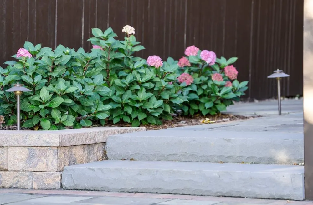 Expert lawn care service for residential properties in Lannon, WI by Ideal Property Management