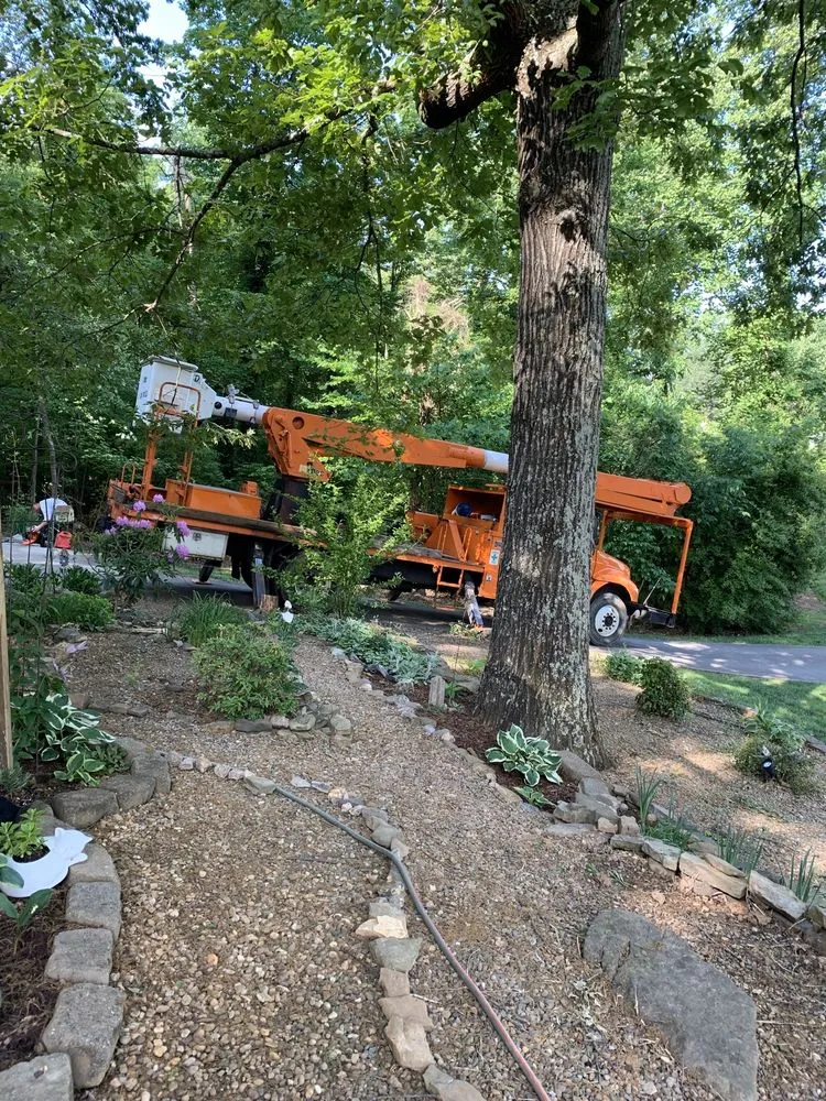Affordable yard maintenance for homes in Talbott, TN by Ideal Tree & Lawn