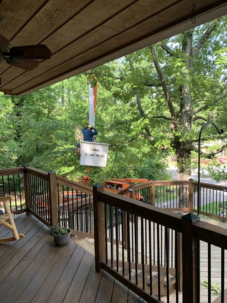 Custom yard maintenance near you across Talbott, TN - Ideal Tree & Lawn