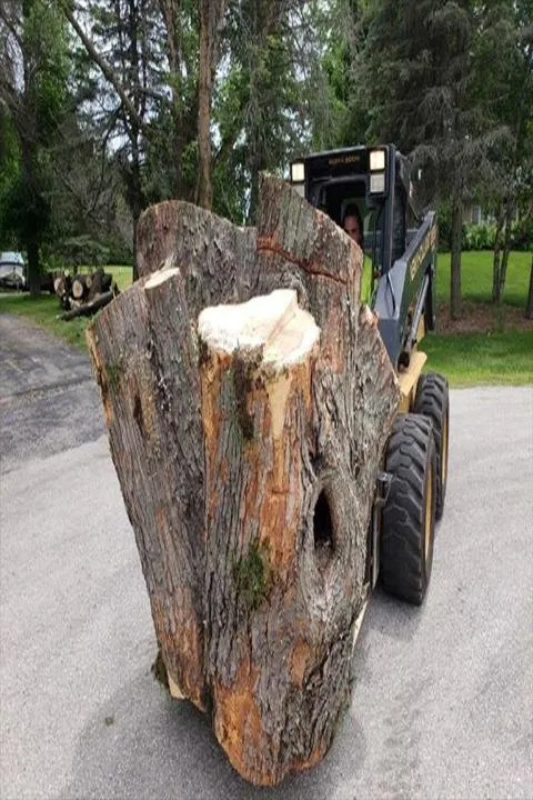 Top-rated garden landscaping near you in Saukville, WI by Ideal Tree Service