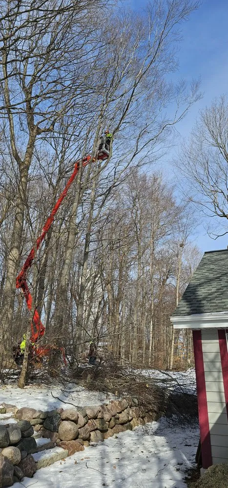 Professional landscape installation for outdoor upgrades in Saukville, WI by Ideal Tree Service