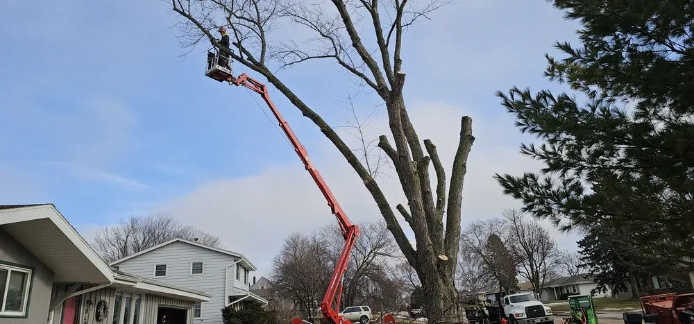 Custom garden landscaping near you in Saukville, WI by Ideal Tree Service
