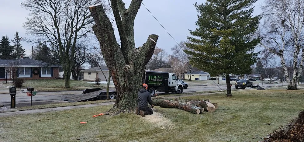 Affordable lawn mowing service in Saukville, WI - Ideal Tree Service