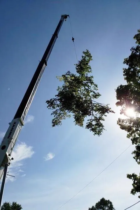 Affordable outdoor landscaping in Saukville, WI - Ideal Tree Service