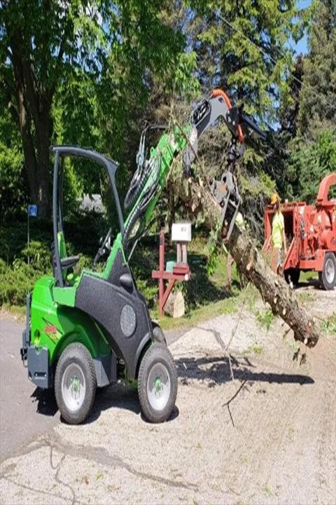 Reliable lawn care service in Saukville, WI - Ideal Tree Service