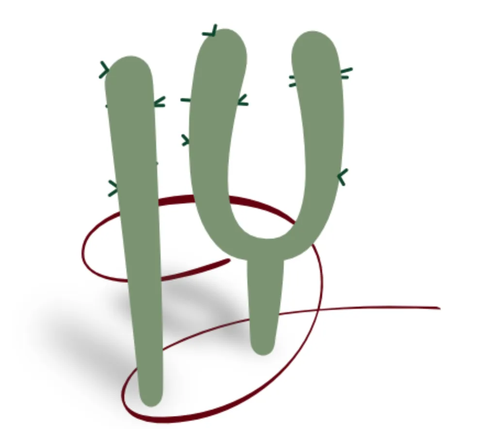 Affordable yard cleanup service for residential properties in Wickenburg, AZ by Ideal Yards Weed Control