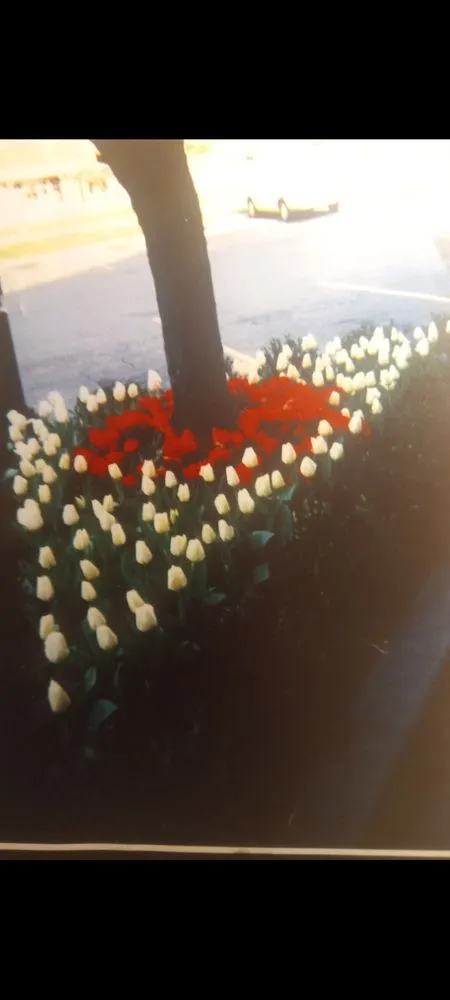 Expert landscape design experts serving Overland Park, KS - Idesign Landscapes And Consulting