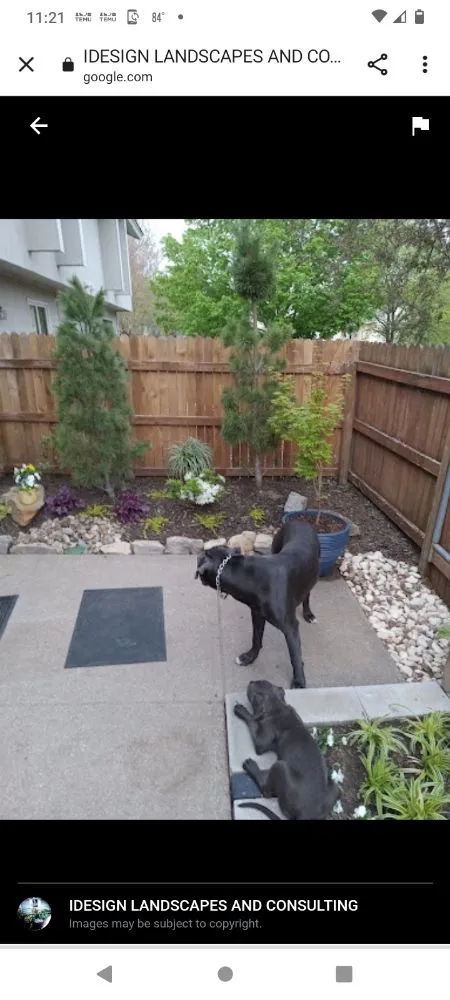 Professional lawn care service for year-round maintenance in Overland Park, KS by Idesign Landscapes And Consulting