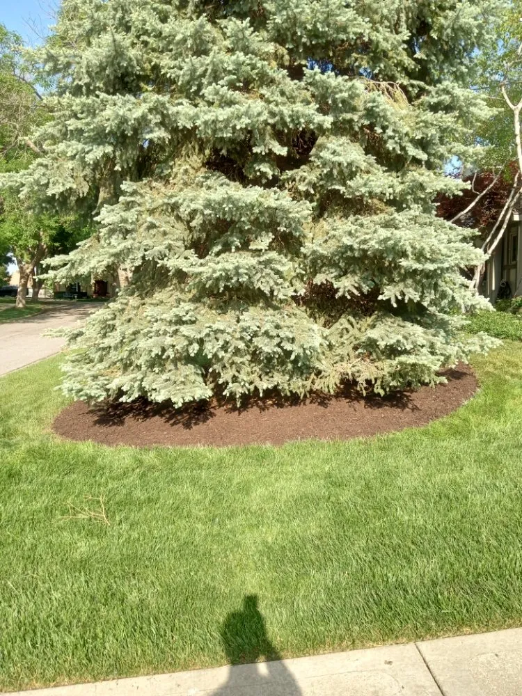 Local outdoor landscaping for residential properties across Overland Park, KS - Idesign Landscapes And Consulting