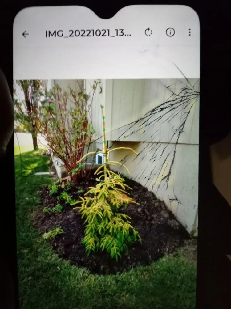 Reliable garden landscaping for year-round maintenance in Overland Park, KS by Idesign Landscapes And Consulting