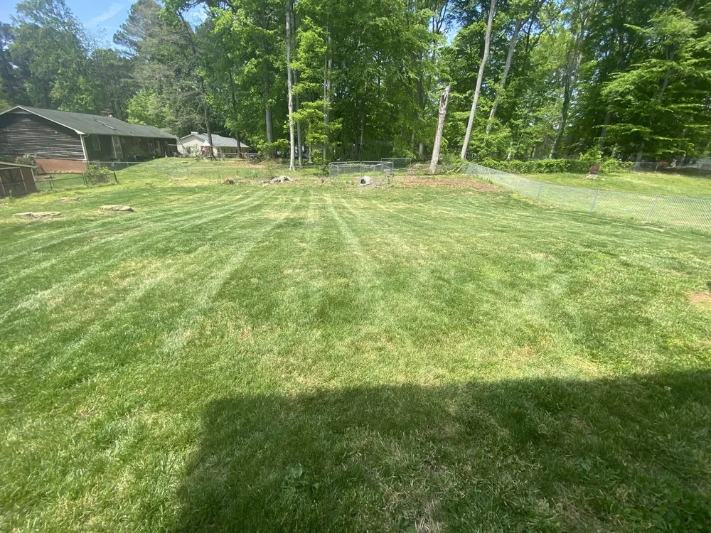 Local yard cleanup service near you in Belews Creek, NC by Idols Lawn & Landscape