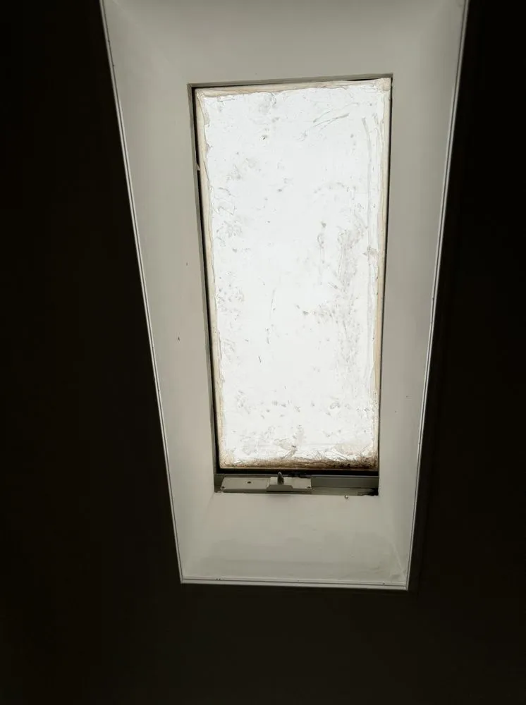 Reliable yard cleanup service in Lincoln University, PA by Idoo