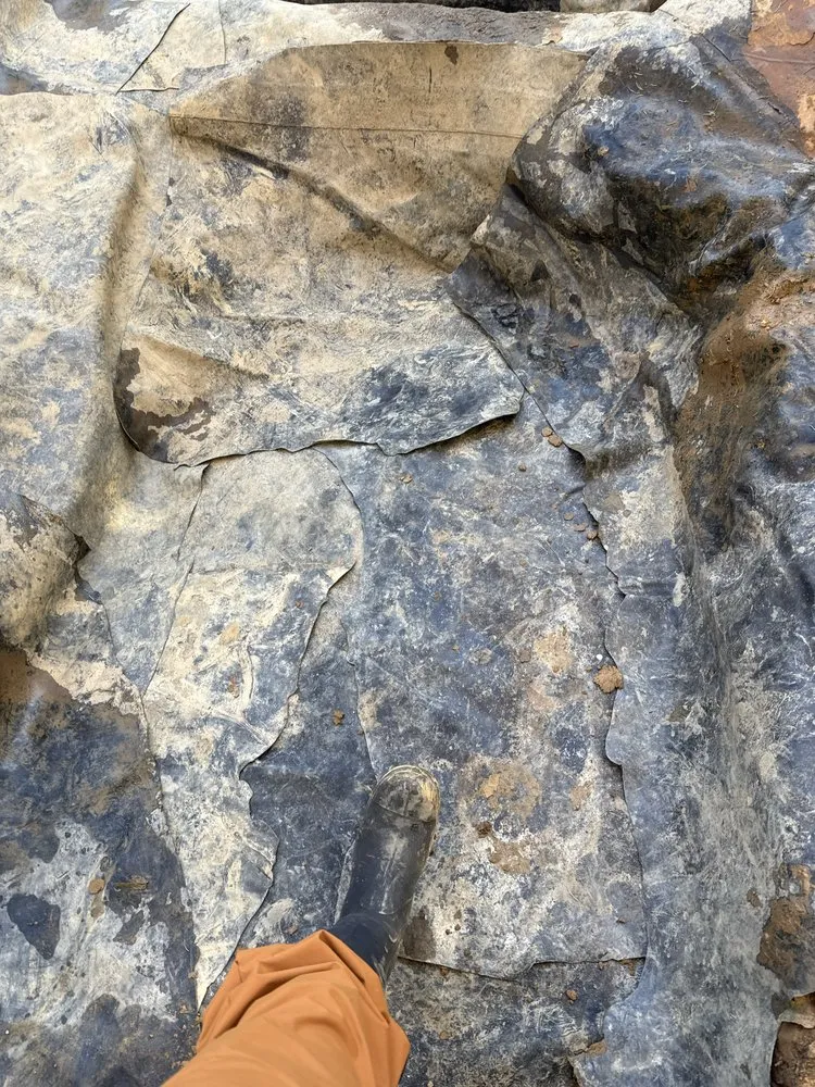 Affordable garden landscaping in Lincoln University, PA by Idoo