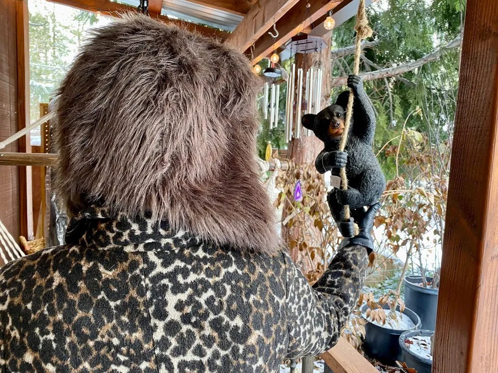 Local yard cleanup service experts serving Idyllwild, CA - Idyllwild Gardens