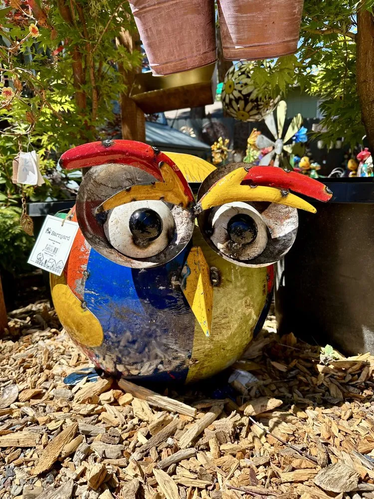 Affordable yard maintenance for year-round maintenance across Idyllwild, CA - Idyllwild Gardens